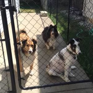 Meet your Posher, Roger